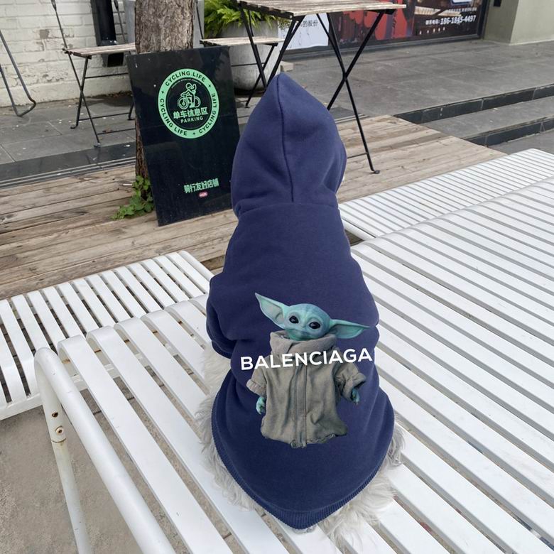 Balenciaga S-XXL  (9)