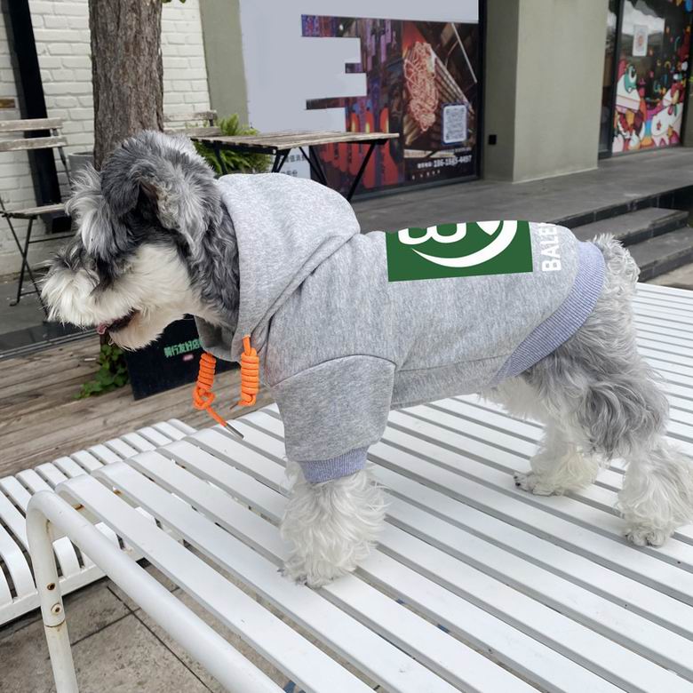 Balenciaga S-XXL  (9)