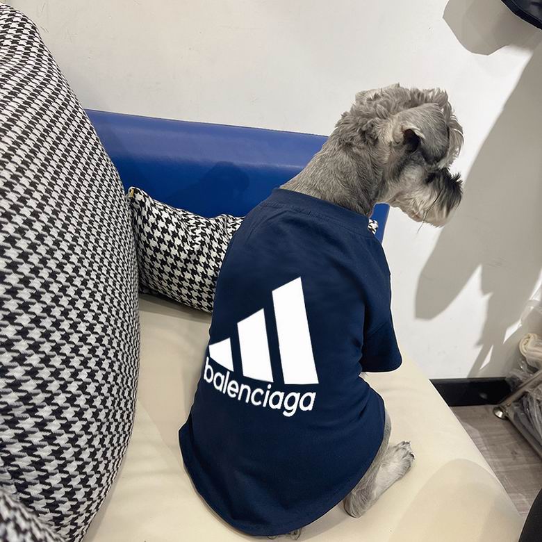 Balenicaga S-XXL  (7)