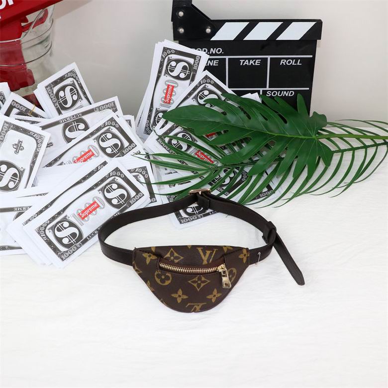 Burberry Dog Bag (4)