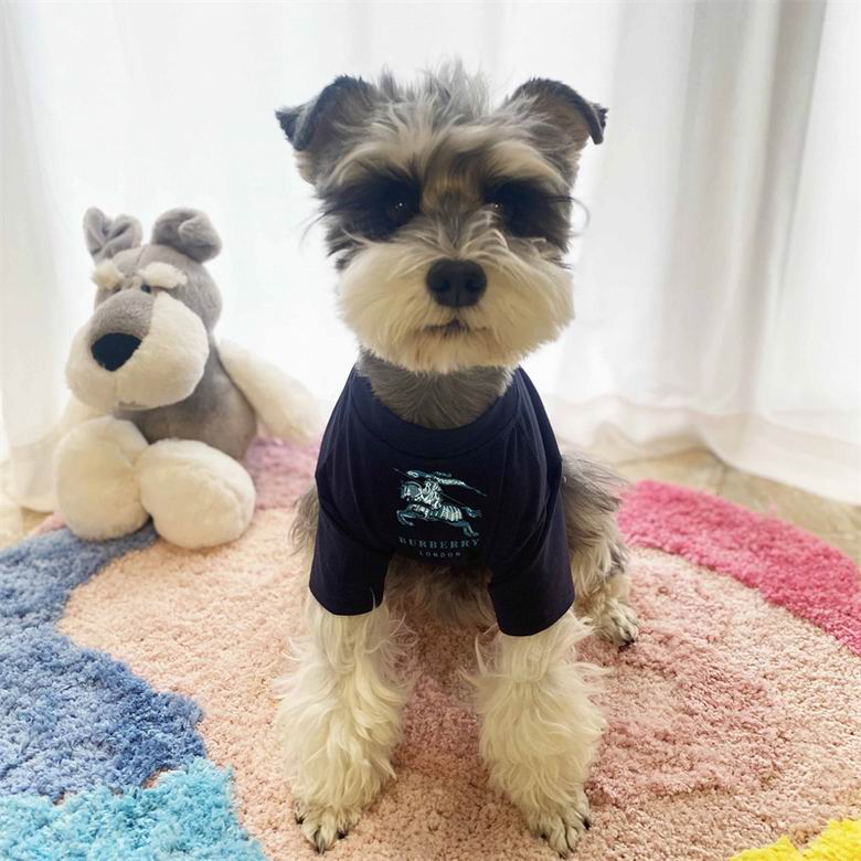 Burberry S-XXL   (7)