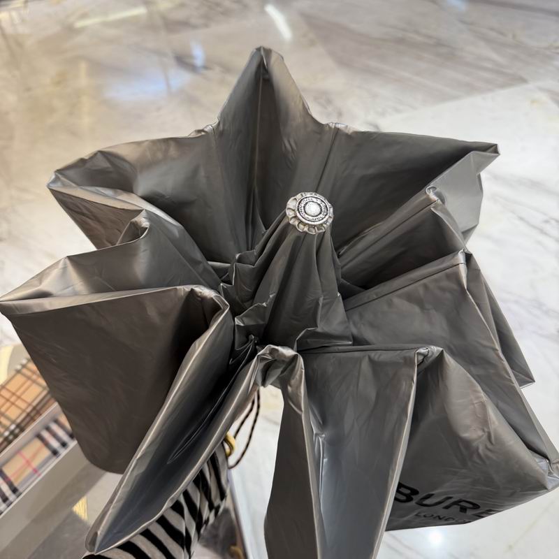 Burberry Umbrella (198)