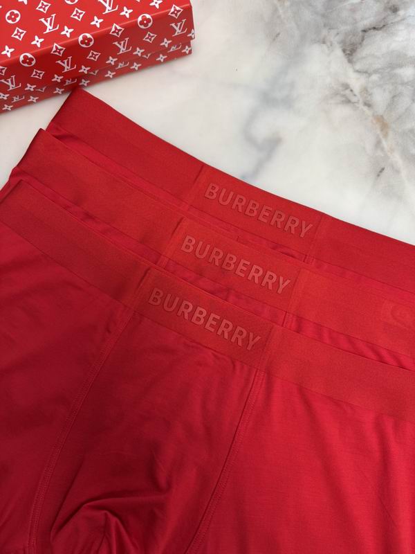 Burberry boxer L-4XL 09 (2)