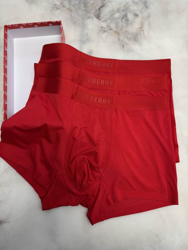 Burberry boxer L-4XL 09 (3)