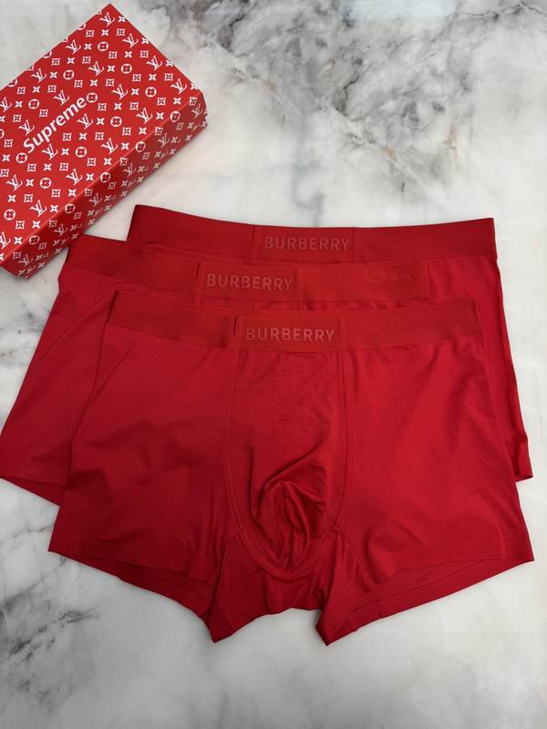 Burberry boxer L-4XL 09 (4)