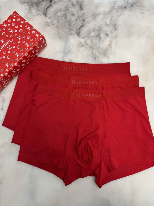 Burberry boxer L-4XL 09 (5)