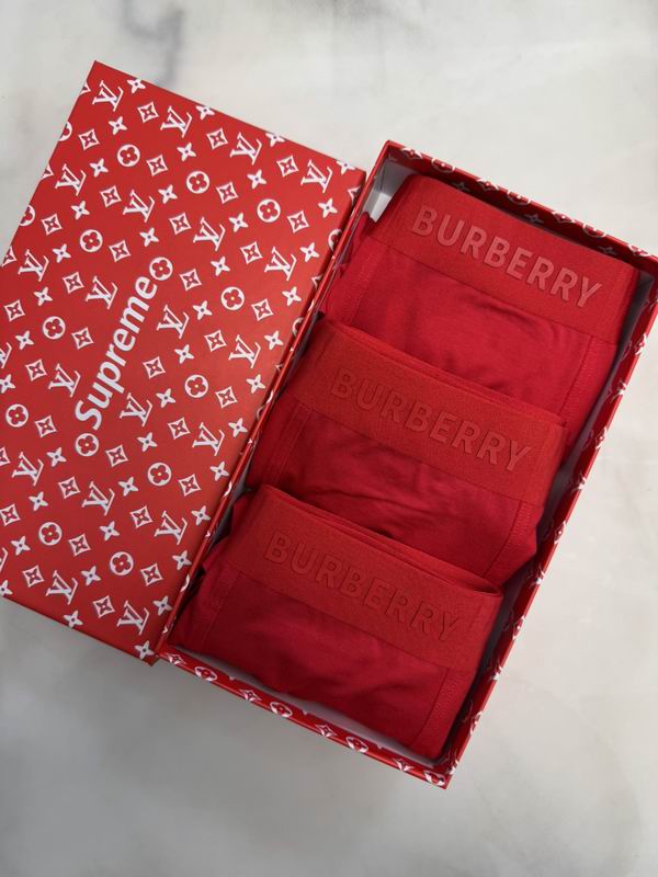 Burberry boxer L-4XL 09 (6)