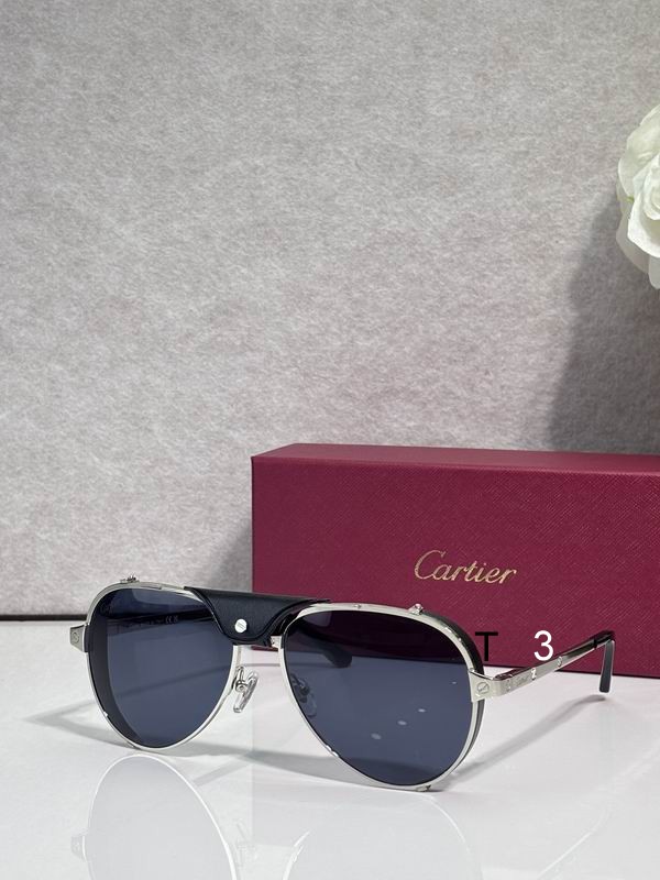 Cartier CT0296S 61 17-135 c03