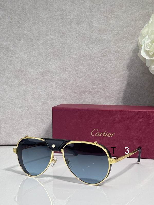 Cartier CT0296S 61 17-135 c07