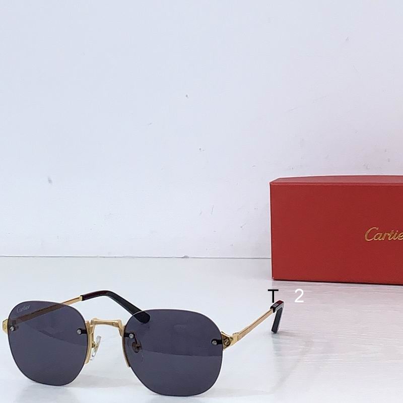 Cartier CT0459S 53 21-145 b04