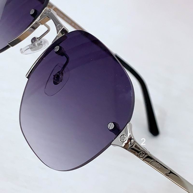 Cartier CT0459S 53 21-145 b08