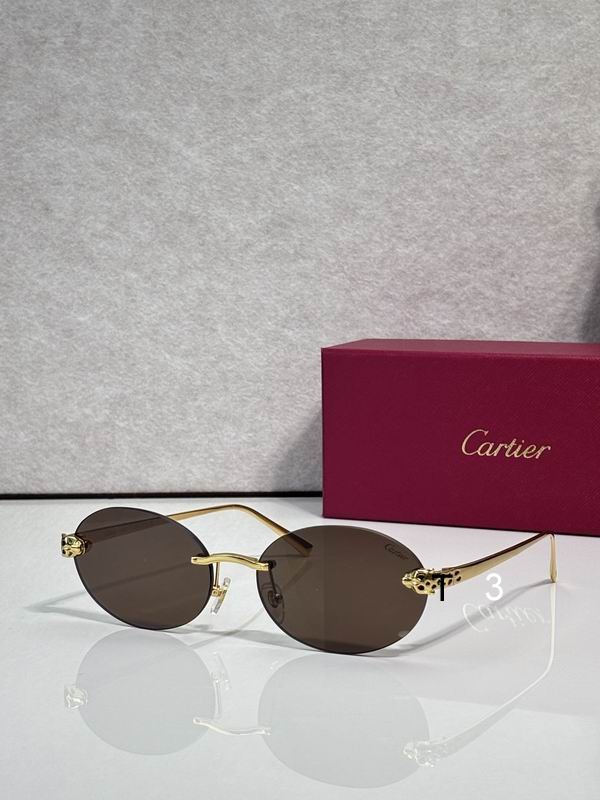 Cartier CT0475S 60 18-140 c01