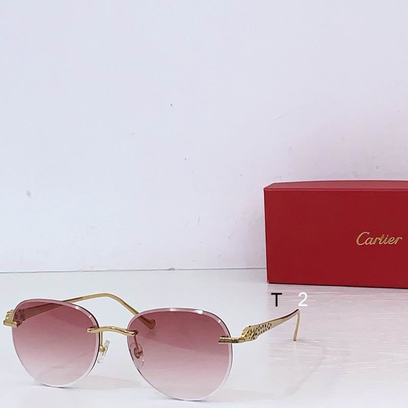 Cartier CT0480S 60 18-140 b04