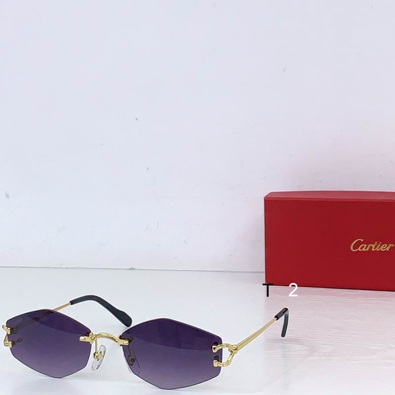 Cartier ESW00796 56 18-145 B04