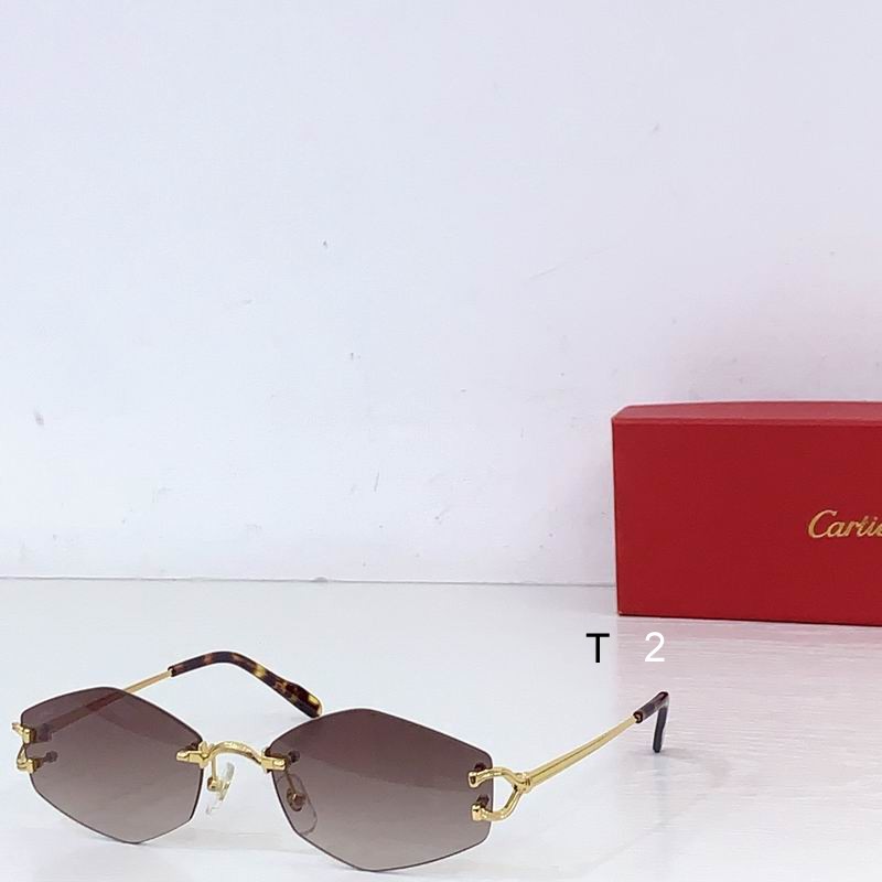 Cartier ESW00796 56 18-145 B07