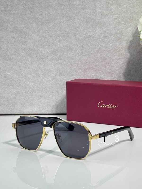 Cartier 0427 C03