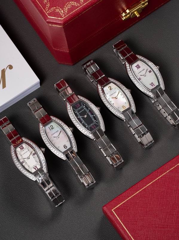 Cartier 23X30mm 04 (1)