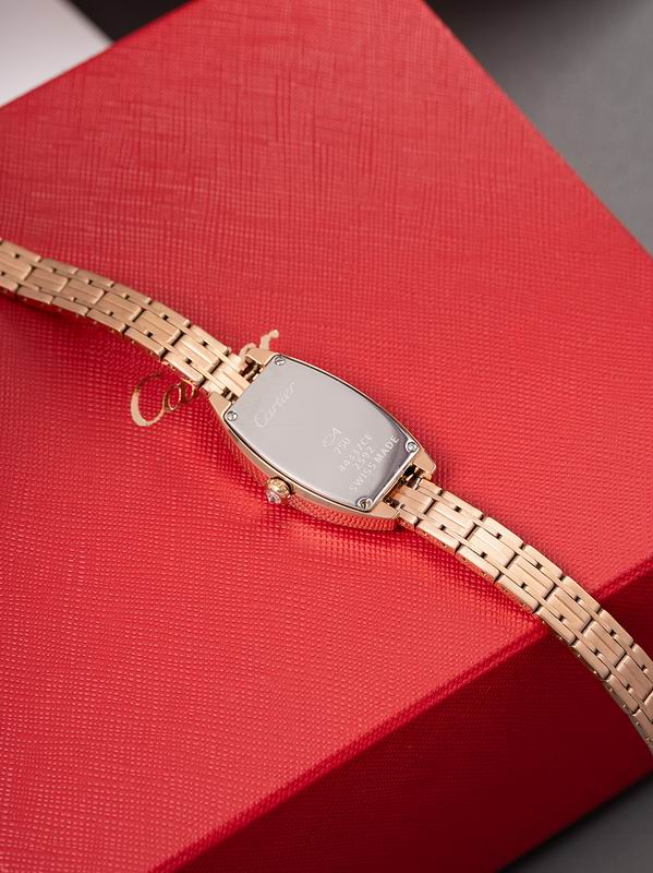 Cartier 23X30mm 17 (4)