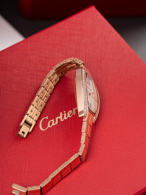 Cartier 23X30mm 17 (5)