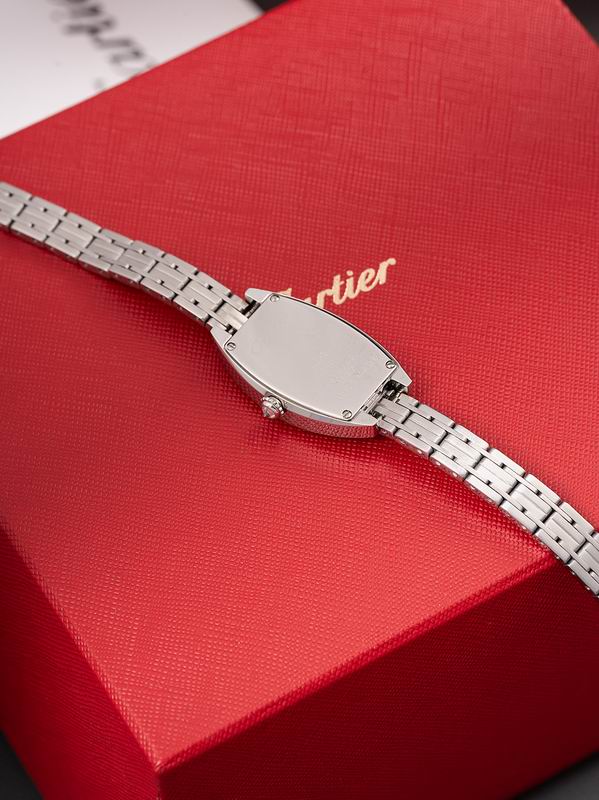 Cartier 23X30mm 18 (2)