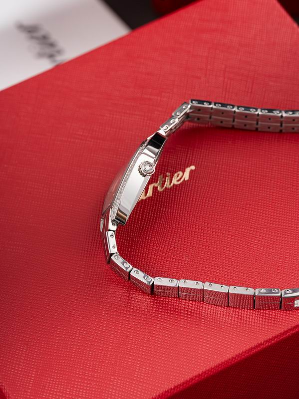 Cartier 23X30mm 18 (4)