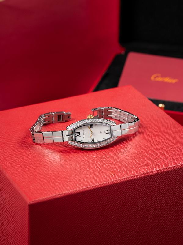 Cartier 23X30mm 18 (7)