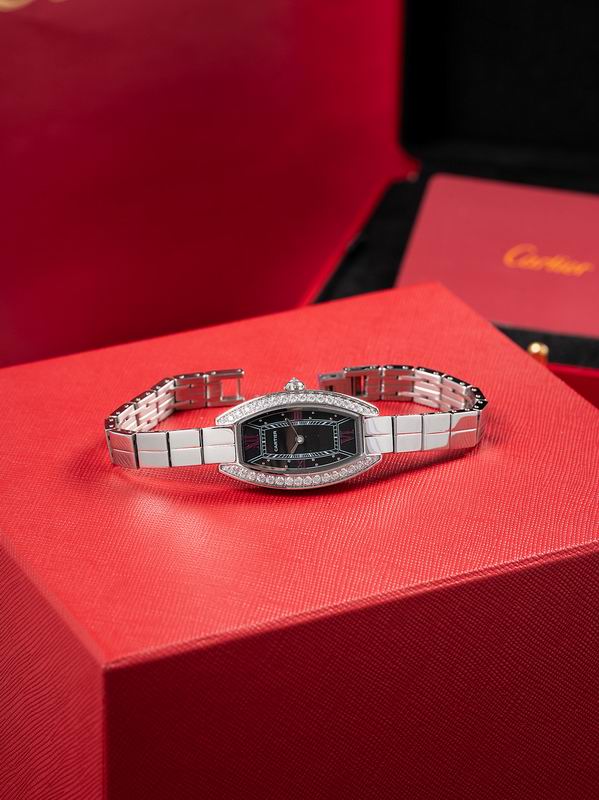 Cartier 23X30mm 18 (8)