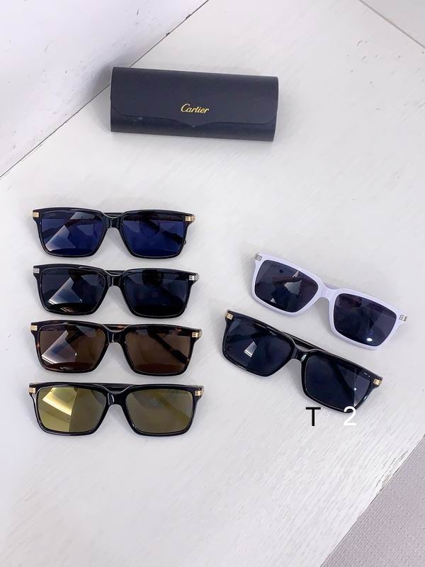 Cartier CT0160S 57 15 145 b09