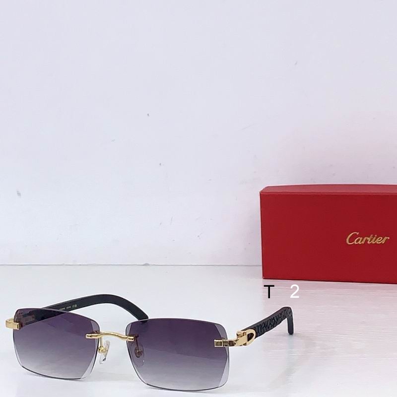 Cartier CT01675O ZE143 B03