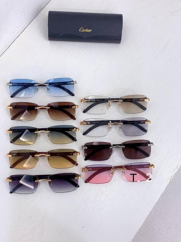Cartier CT01675O ZE143 B10