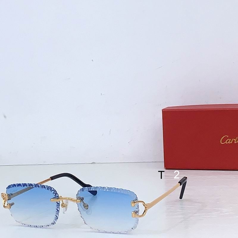 Cartier CT02032 b04