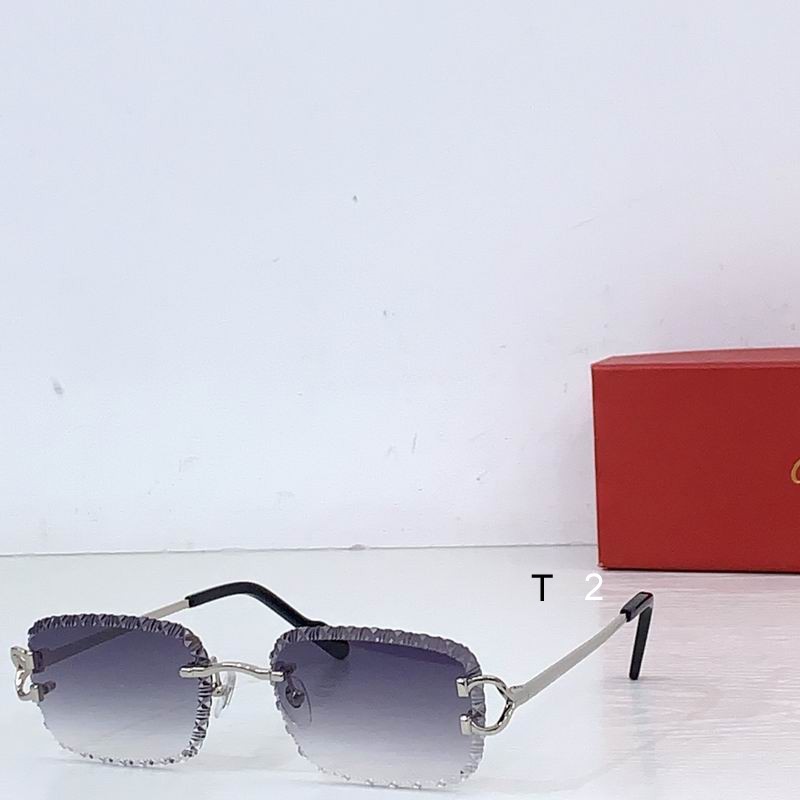 Cartier CT02032 b05