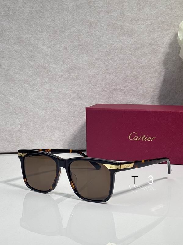 Cartier CT0223S 55 18 145 c04