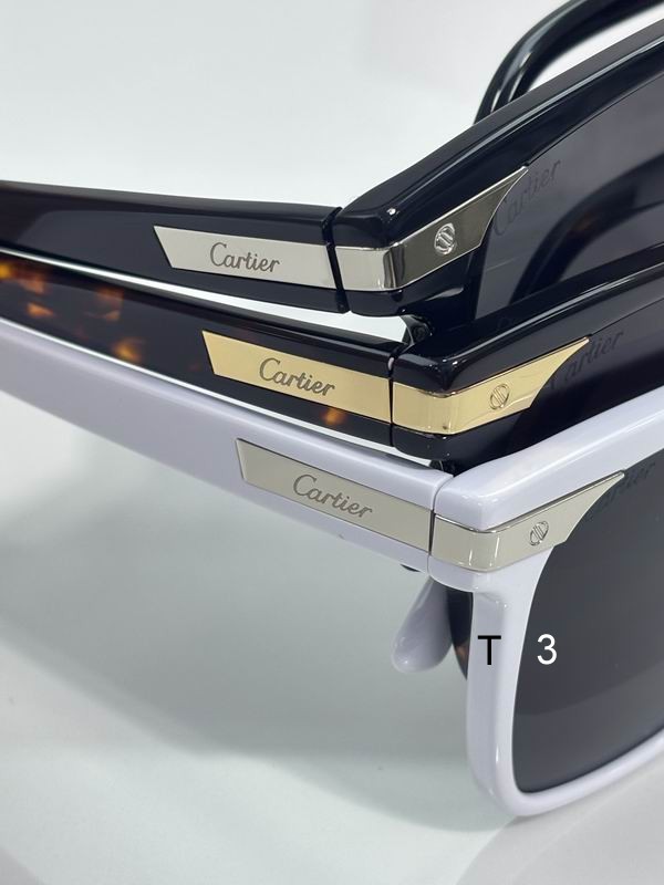 Cartier CT0223S 55 18 145 c07