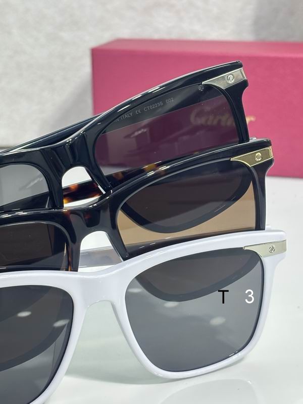 Cartier CT0223S 55 18 145 c08