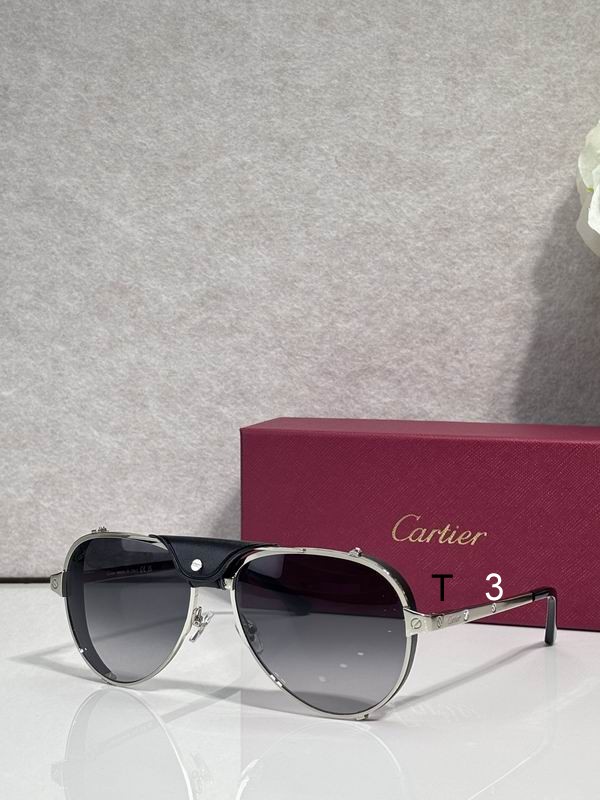 Cartier CT0296S 61 17-135 c01