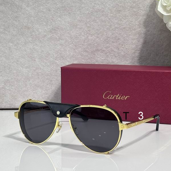Cartier CT0296S 61 17-135 c02