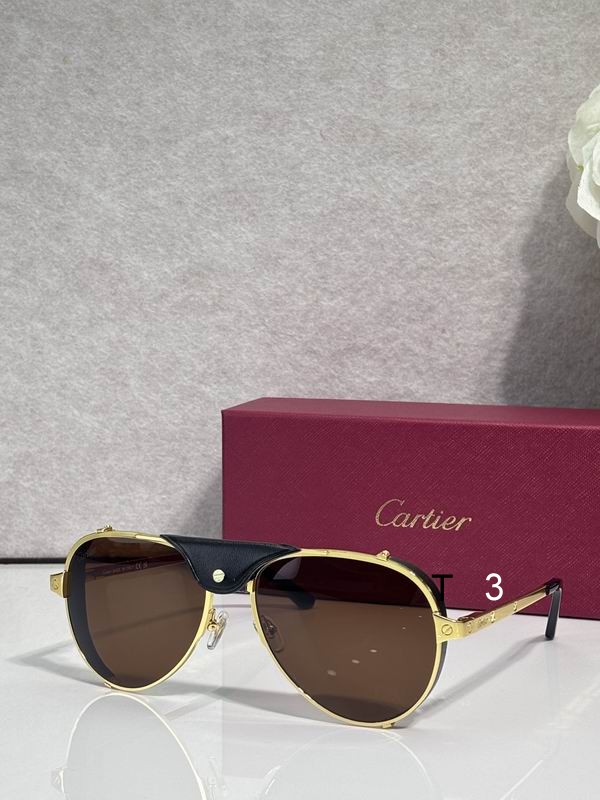 Cartier CT0296S 61 17-135 c04
