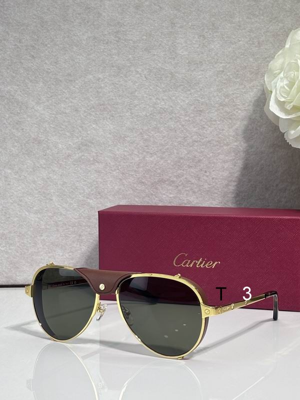 Cartier CT0296S 61 17-135 c05