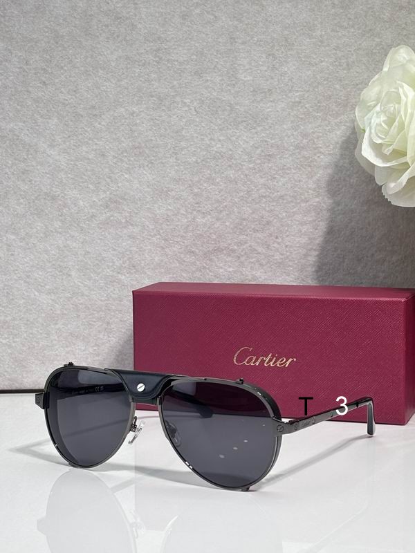 Cartier CT0296S 61 17-135 c06