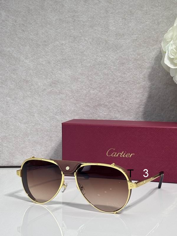Cartier CT0296S 61 17-135 c08