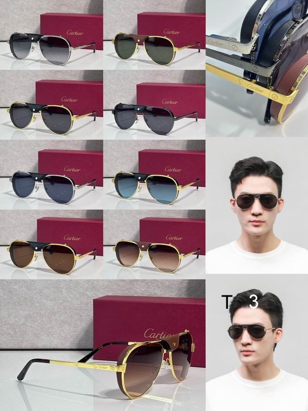 Cartier CT0296S 61 17-135 c10