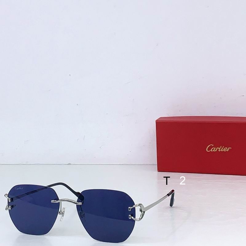 Cartier CT0394S 58 18-145  b05