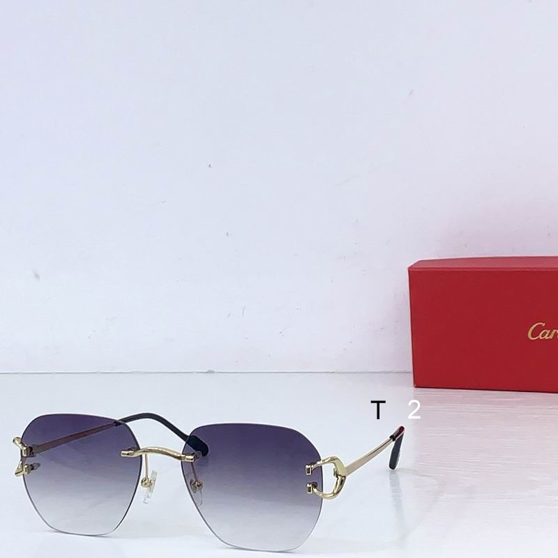 Cartier CT0394S 58 18-145  b06
