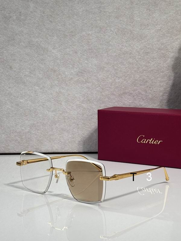 Cartier CT0403S 52 20-145 c01