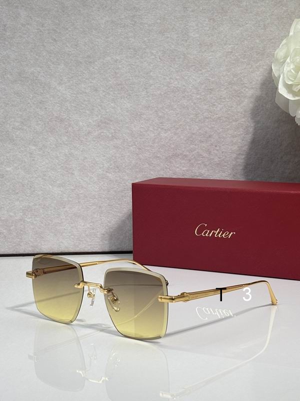 Cartier CT0403S 52 20-145 c03