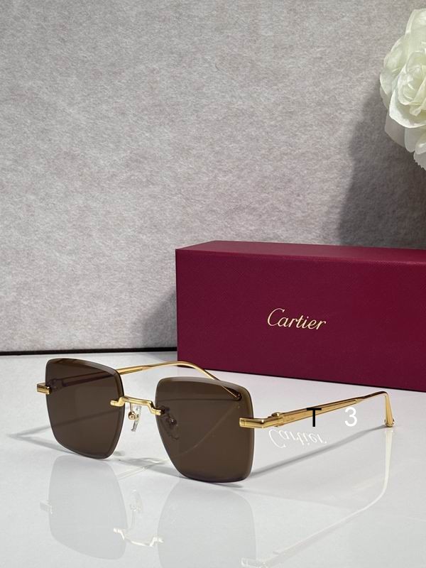 Cartier CT0403S 52 20-145 c04