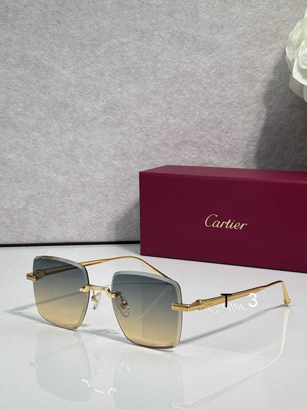 Cartier CT0403S 52 20-145 c05