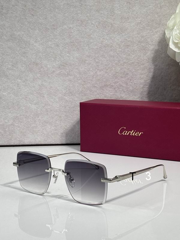 Cartier CT0403S 52 20-145 c06