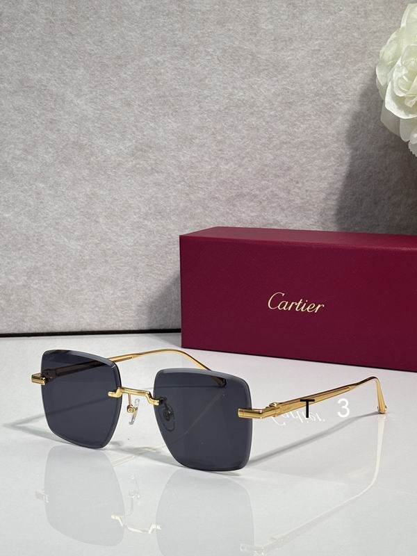Cartier CT0403S 52 20-145 c07